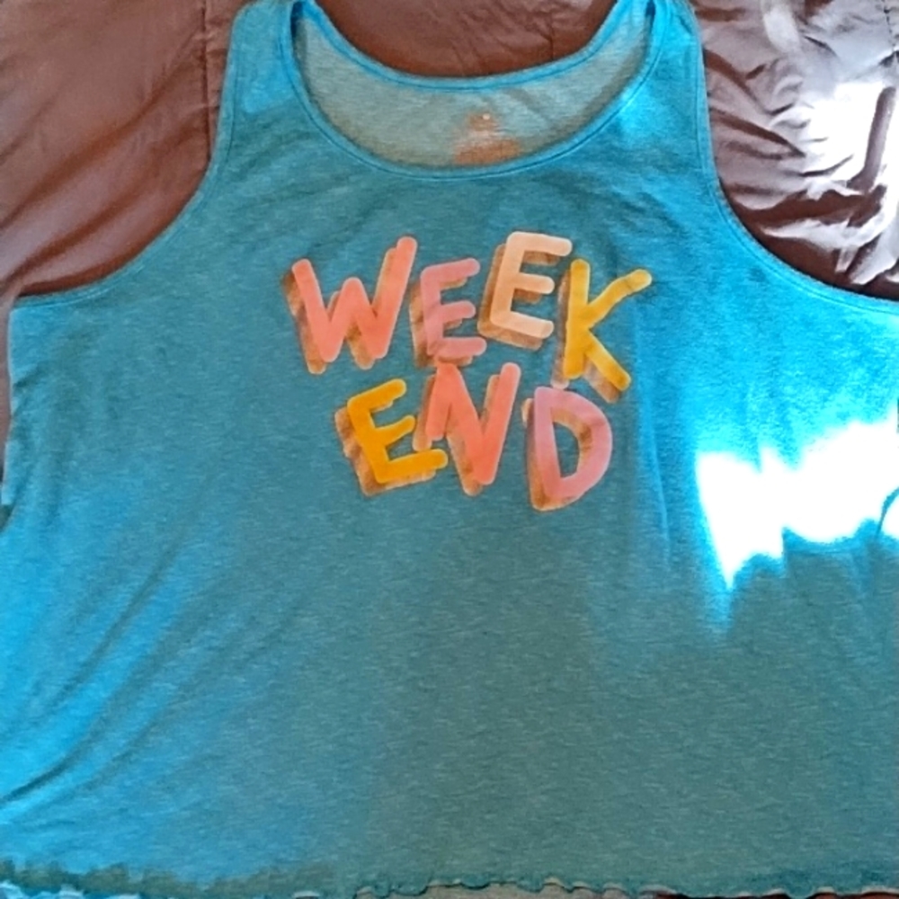 Secret treasure blue 2X(18w-20w) sleep shirt